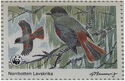 Siberian Jay (Perisoreus infaustus), Norrbotten